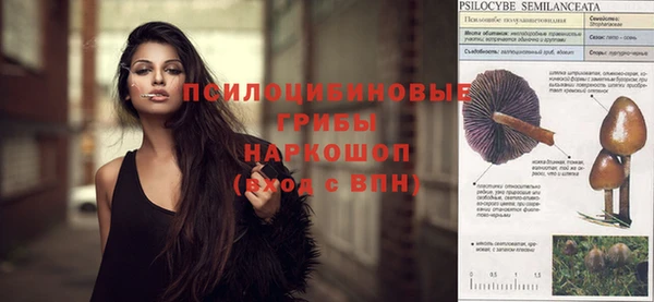 spice Володарск
