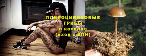 ешки Волосово